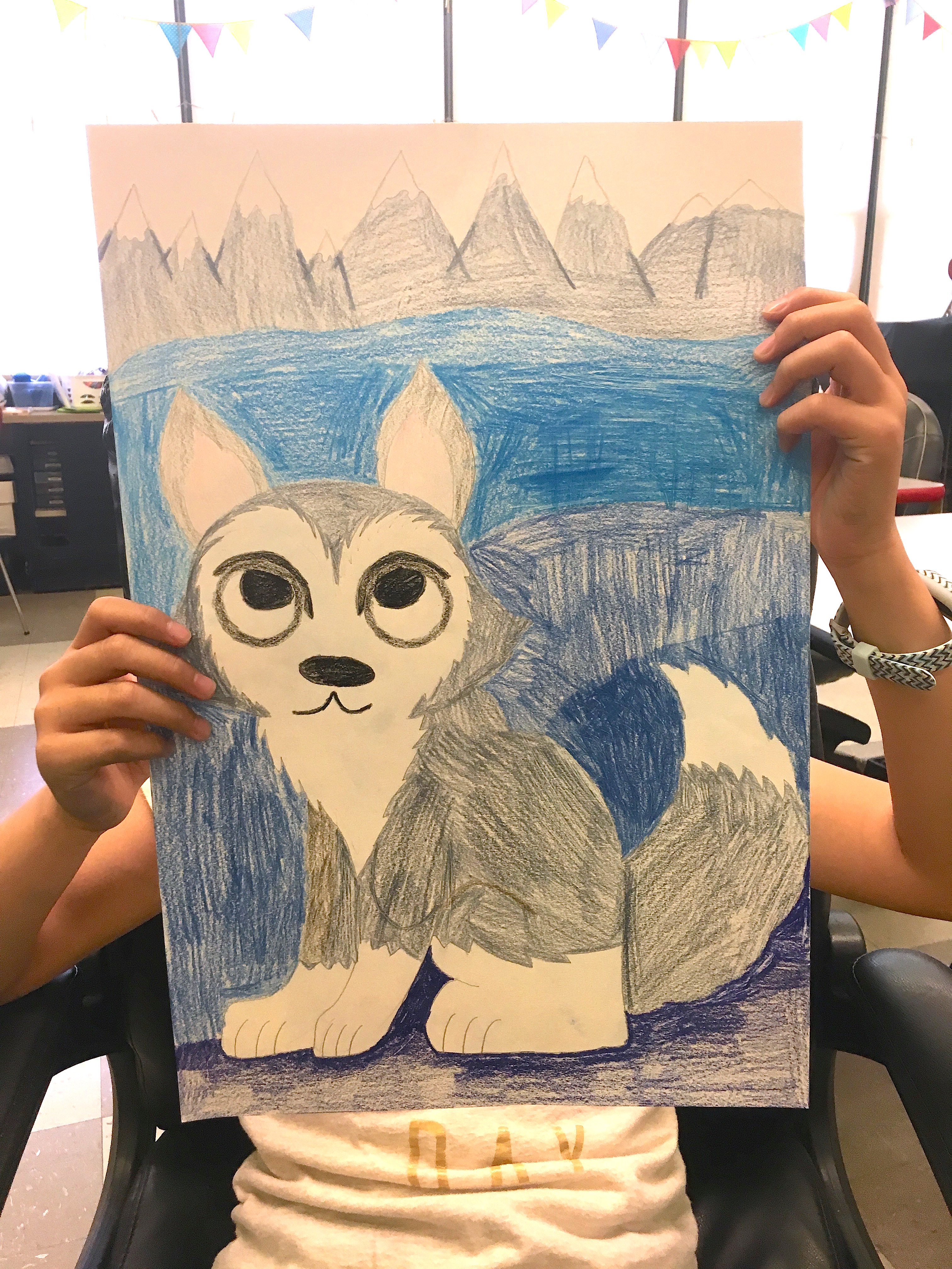 ANIMAL DRAWINGS – 4TH GRADE – Art with Mrs Filmore